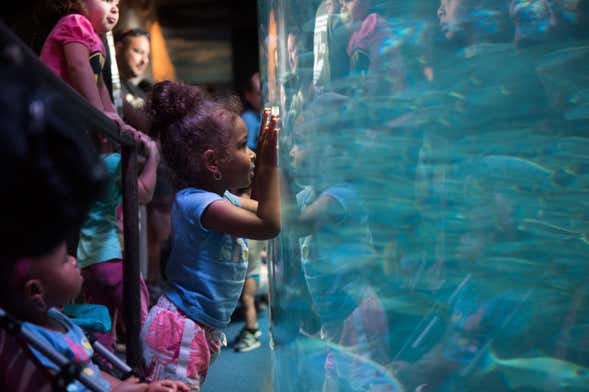 Entrada a Aquarium of The Pacific