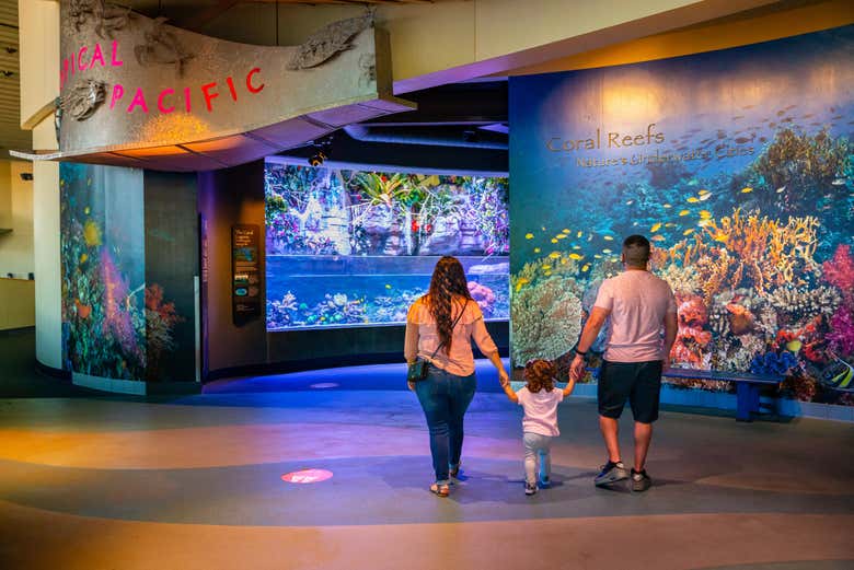 Entrando a Aquarium of The Pacific