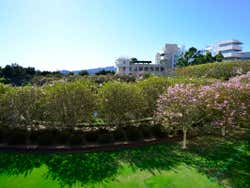 Jardines del Centro Getty