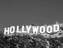 Cartel Hollywood