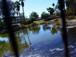 Estanque del Rancho La Brea
