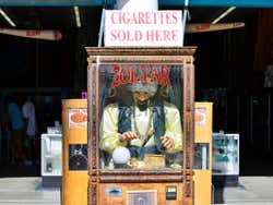 Zoltar Venice Beach