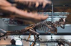 Guía de Los Ángeles