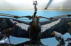 Guía de Los Ángeles